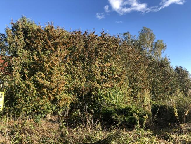 Atrakcyjna działka budowlana Dys