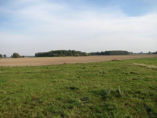 Działka z WZ 90km od Warszawy-Płońsk-Płock-Raciąż