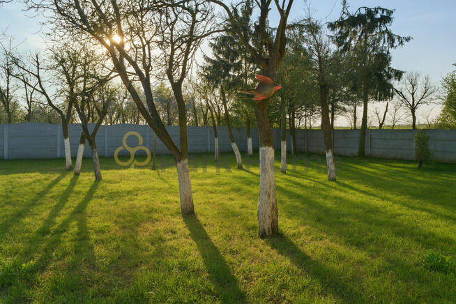 Dom Czmoń gm. Kórnik,