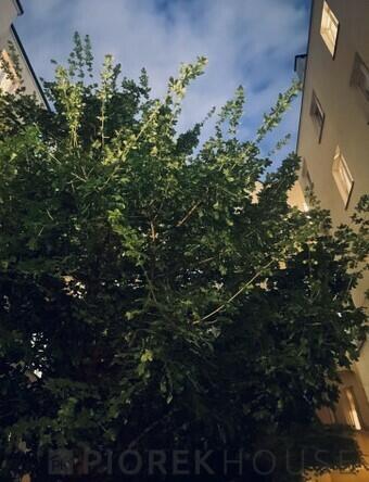 2-pokojowe mieszkanie na Mokotowie