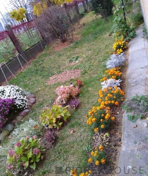 3-pokojowe mieszkanie na Woli