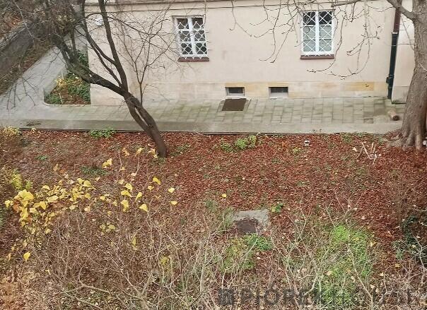 2-pokojowe mieszkanie na Śródmieściu