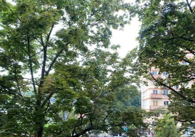 Kawalerka na Ochocie