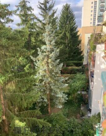 2-pokojowe mieszkanie na Ursynowie