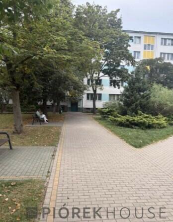 3-pokojowe mieszkanie na Wilanowie