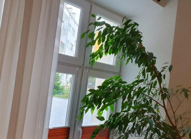 Kawalerka na Pradze-Północ