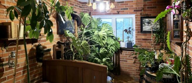 4-pokojowe mieszkanie na Ochocie