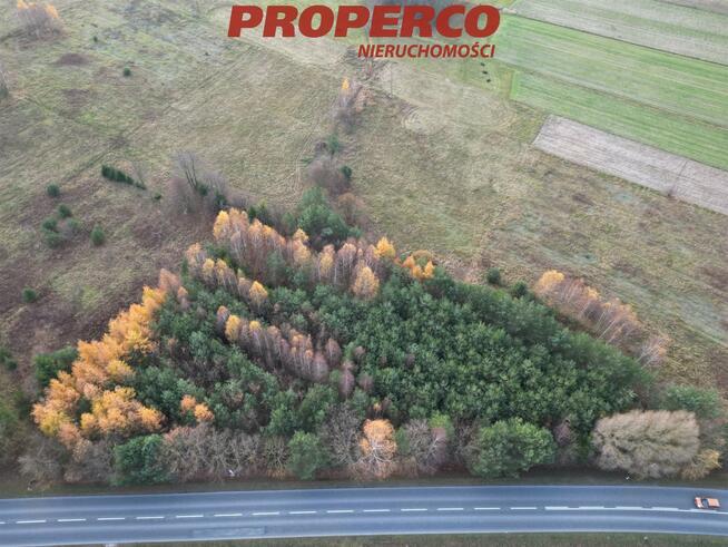 Działka Jedle gm. Łopuszno