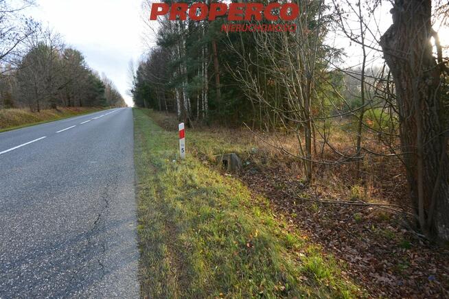 Działka Jedle gm. Łopuszno