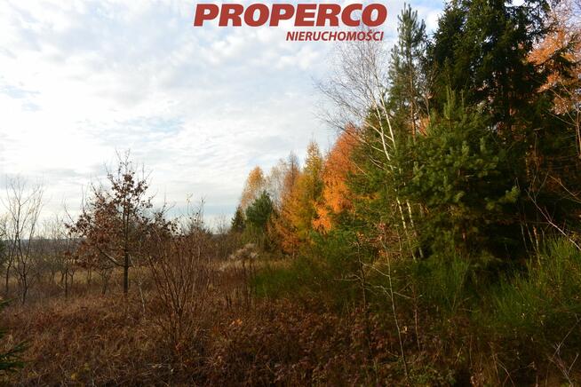 Działka Jedle gm. Łopuszno