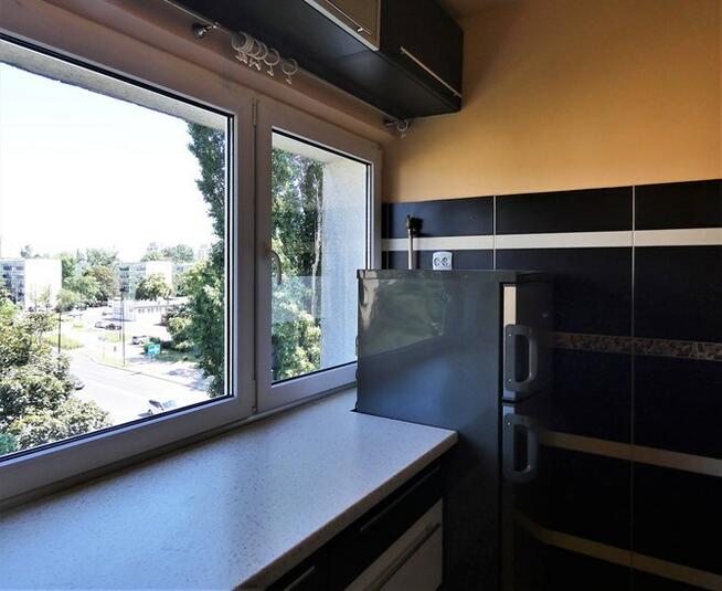 Traktorowa 80, Teofilów, 2 pokoje, pet friendly!