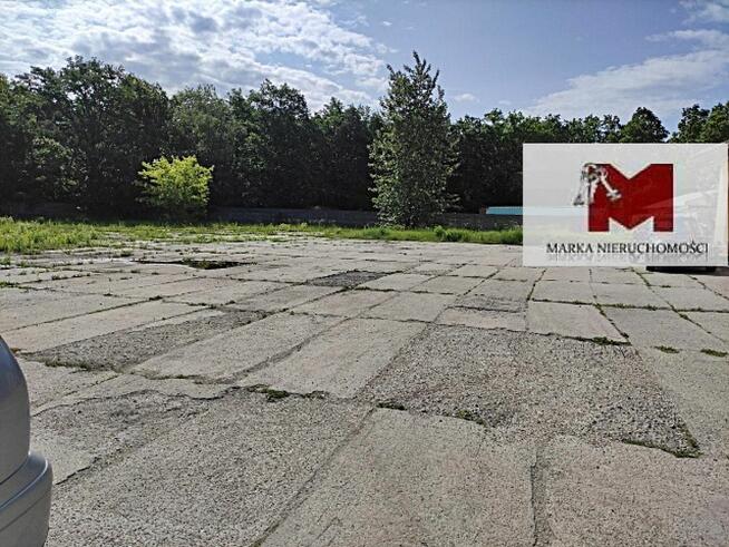 Lokal użytkowy Kędzierzyn-Koźle Kędzierzyn, Pawła Stalmacha