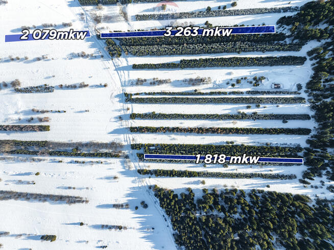Pakiet działek w Frydmanie