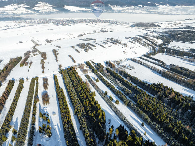 Pakiet działek w Frydmanie