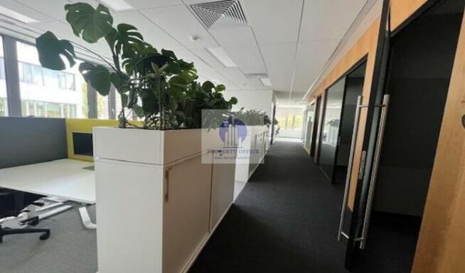 Lokal użytkowy Warszawa Praga-Południe, Kamionkowska