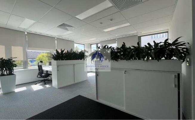 Lokal użytkowy Warszawa Praga-Południe, Kamionkowska