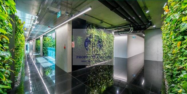 Lokal użytkowy Warszawa Śródmieście, Litewska