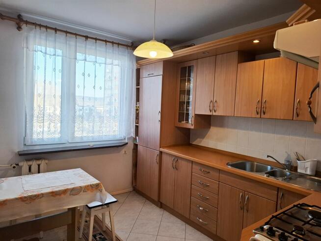 Mieszkanie Kielce, Władysława Orkana