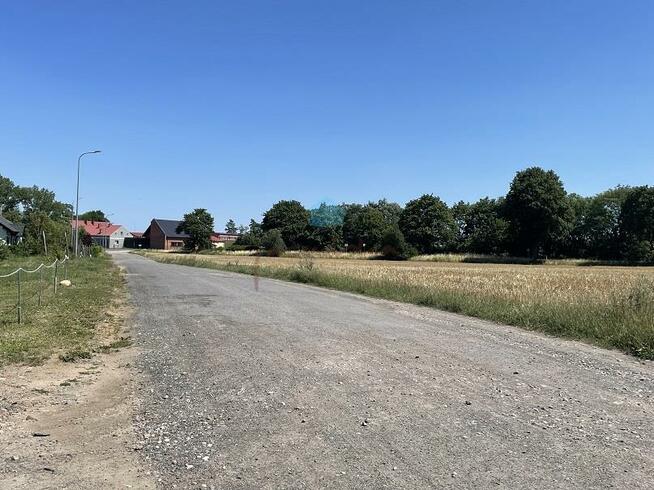 Działka przemysłowa Fałkowo gm. Łubowo Fałkowo, Fałkowo