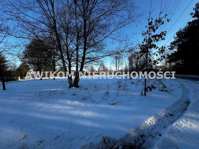 Działka usługowa Radziejowice