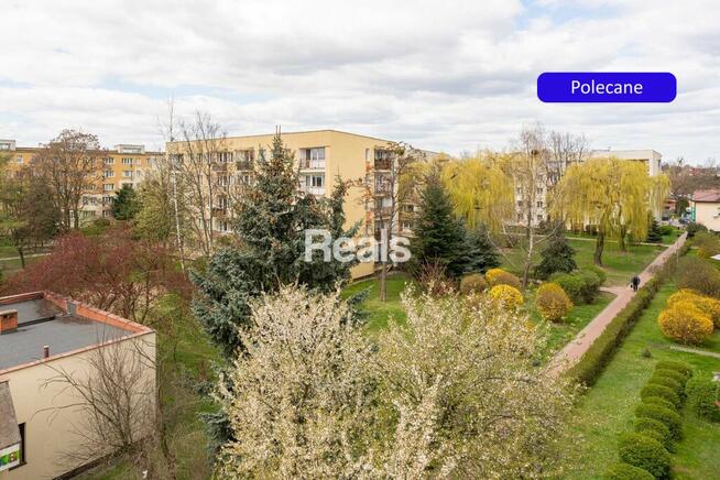 3 oddzielne pokoje po remoncie! Parking