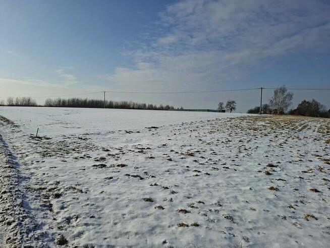 Bolechowice gm. Zabierzów - działka 3100 m2 bud.-rolna