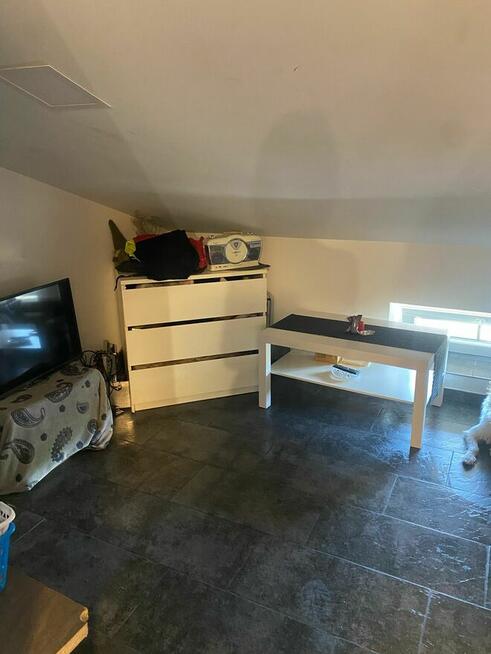 Mieszkanie/mikrokawalerka wynajmę