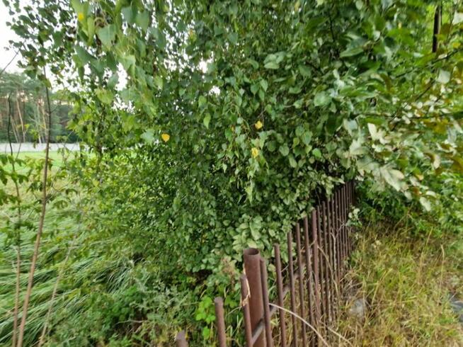 Syndyk sprzeda nieruchomość niezabudowaną we wsi Całowanie,