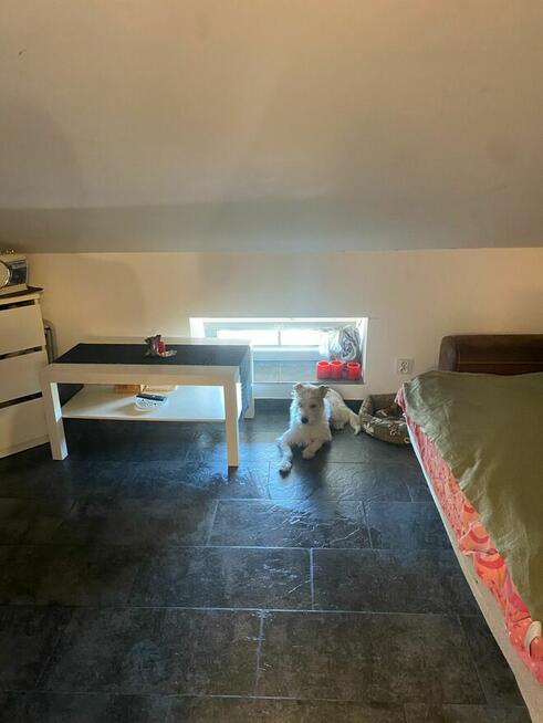 Mieszkanie/mikrokawalerka wynajmę