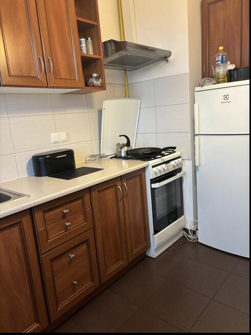 Od marca do wynajęcia mieszkanie w Nowym Targu