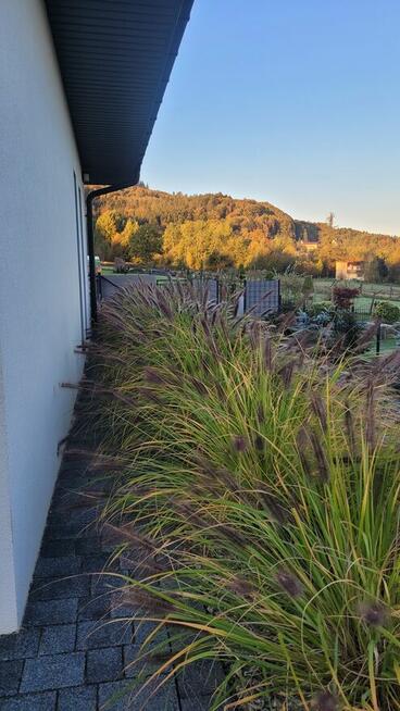 Ogrody Szpakowski. Usługi ogrodnicze