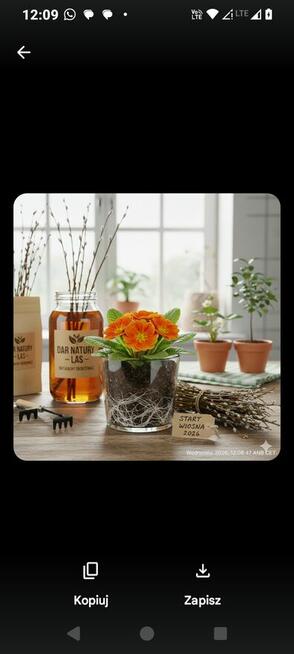 Zadbaj o swoje uprawy doniczkowe ogrodowe