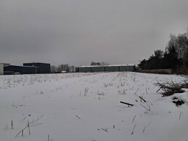 Działka budowlana 1.5ha ogrodzona