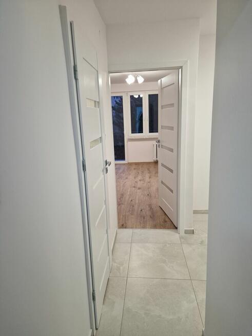 Mieszkanie na wynajem 2 pokoje Ostrów Wlkp,