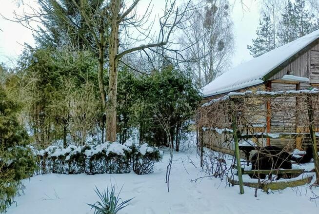 Działka ROD, Białystok - unikalna, prawie jak leśniczówka