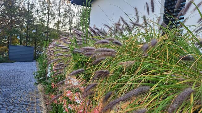 Ogrody Szpakowski. Usługi ogrodnicze