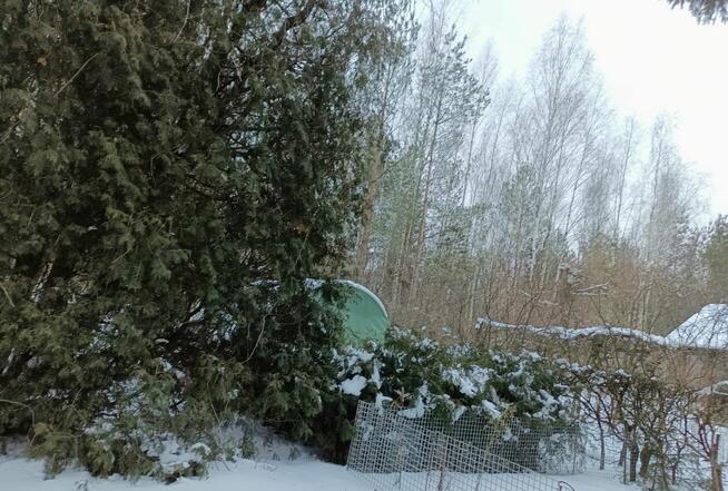 Działka ROD, Białystok - unikalna, prawie jak leśniczówka