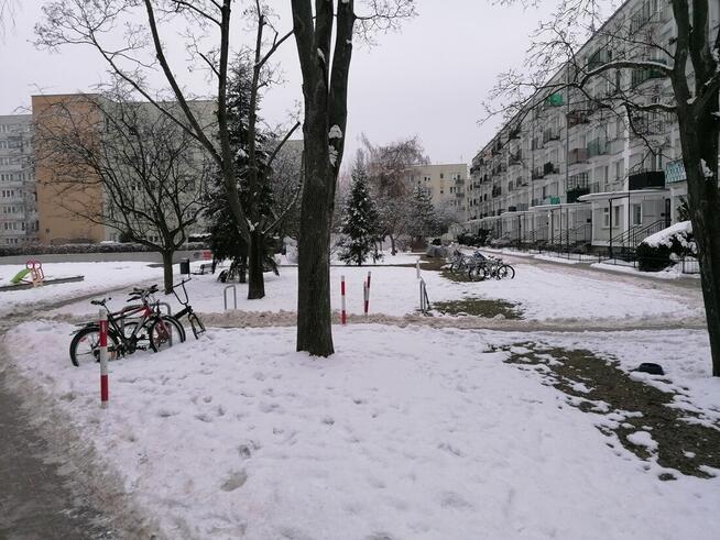 Bezpośr., Sady Żoliborskie, dwustronne, rozkładowe, parking