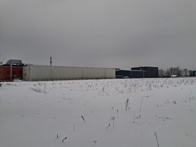 Działka budowlana 1.5ha ogrodzona