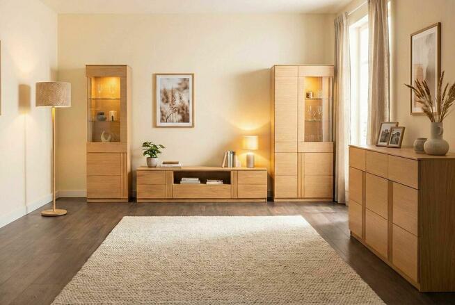 Zestaw mebli nowoczesnych Komoda + Szafka RTV + 2x witryna.