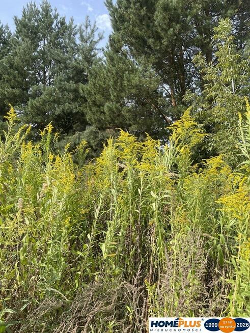 Działka budowlana 807 m², Słupno k. Radzymina