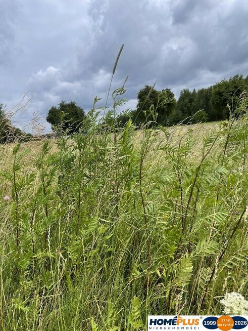 Działka 10 244 m² zabudowa mieszkaniowa i usługi