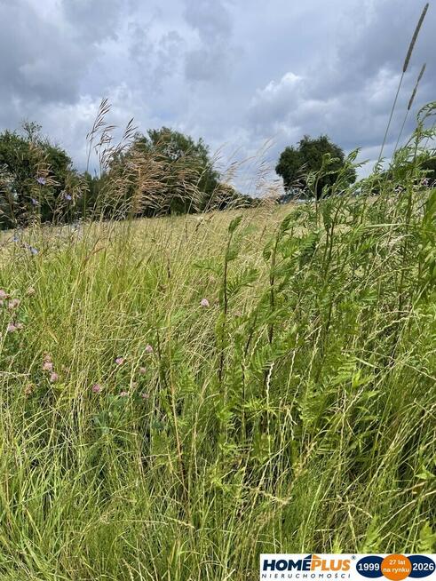 Działka 10 244 m² zabudowa mieszkaniowa i usługi