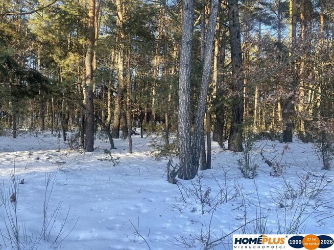 1000 m² zielonej działki na lekkim wzniesieniu