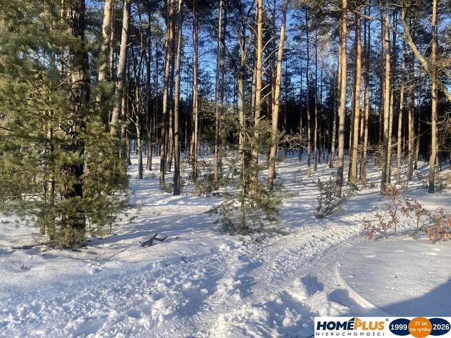 1000 m² zielonej działki na lekkim wzniesieniu
