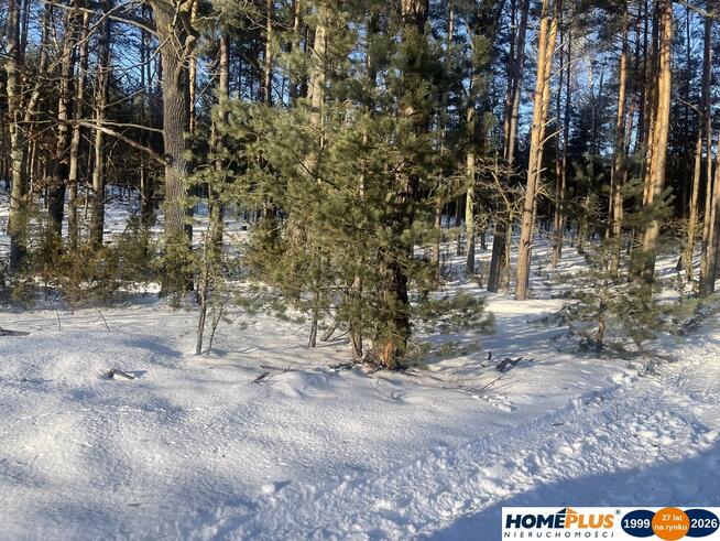 1000 m² zielonej działki na lekkim wzniesieniu