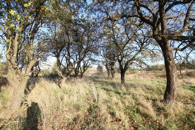 Działka budowlana 15 ar Kozioł g. Baranów