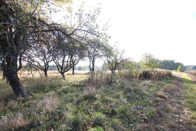 Działka budowlana 15 ar Kozioł g. Baranów