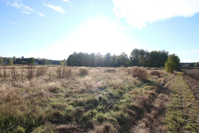 Działka budowlana 15 ar Kozioł g. Baranów