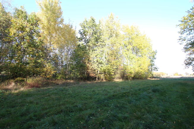 Działka budowlana 15 ar Kozioł g. Baranów